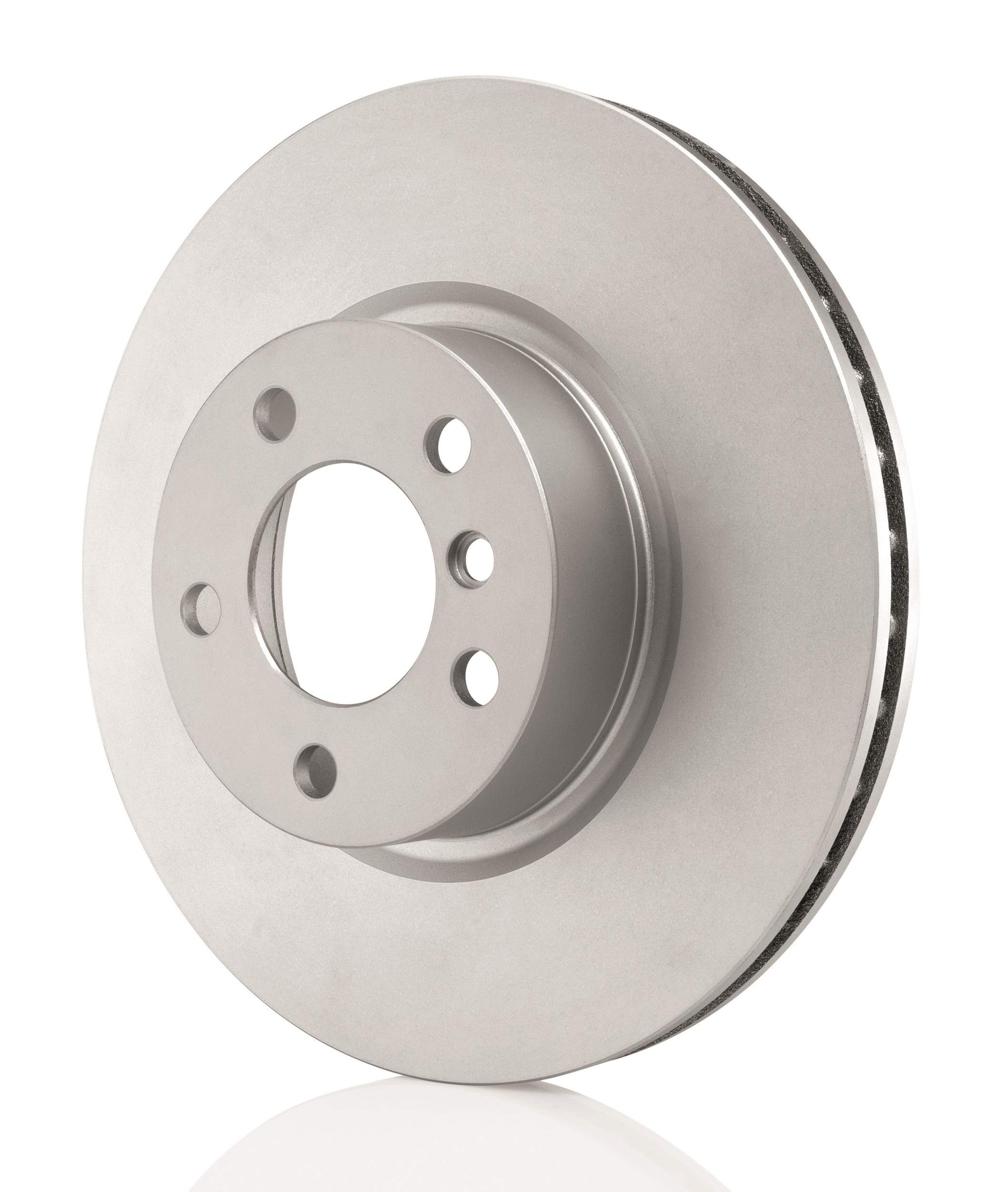 Brake Disc (Rear)