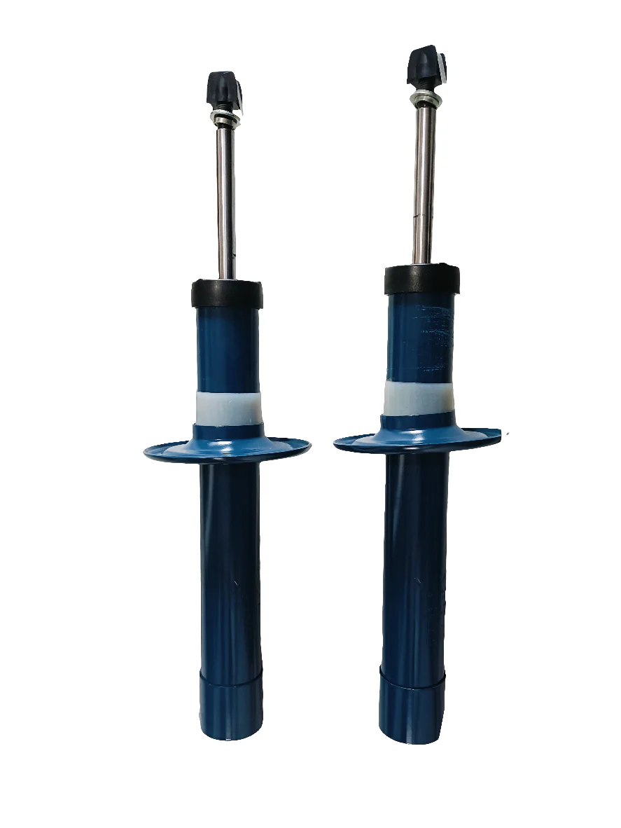 Shock Absorber Set